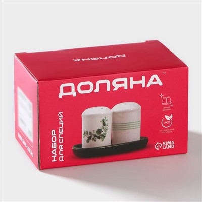 Набор для специй Доляна «Марокко», 2 предмета: солонка, перечница, 130 мл