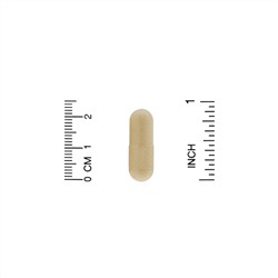 ZOI Research, Поддержка выведения токсинов, 60 вегетарианских капсул