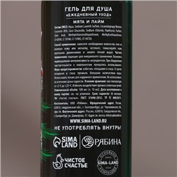 Подарочный набор новогодний «Лучшему из лучших»: гель для душа и шампунь для волос, 2×100 мл, Чистое счастье