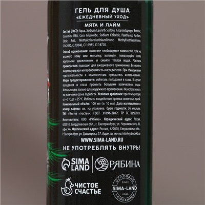 Подарочный набор новогодний «Лучшему из лучших»: гель для душа и шампунь для волос, 2×100 мл, Чистое счастье