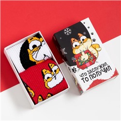 Набор мужских новогодних носков «Кот» размер 41-44 (27-29 см), 2 пары