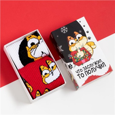 Набор мужских новогодних носков «Кот» размер 41-44 (27-29 см), 2 пары