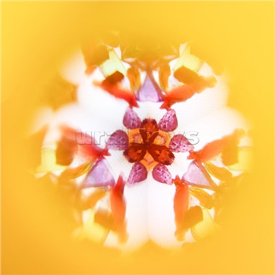 Калейдоскоп