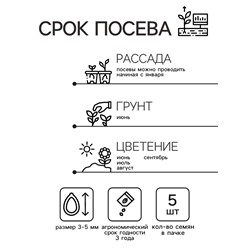 Семена цветов Пеларгония зональная Люстра микс, 5шт