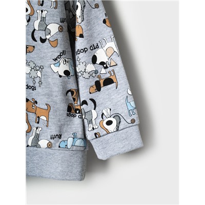 Комплект детский трикотажный для мальчиков: толстовка, брюки