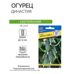 Семена огурца «Династия F1», 7 шт.