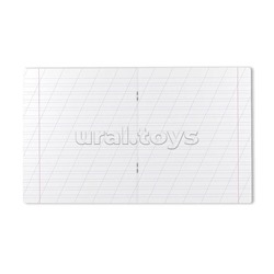 Тетрадь 12л., косая  линия, скрепка, офсет 60 гр