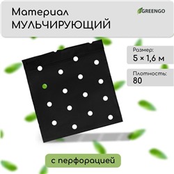 Материал мульчирующий, с перфорацией, 5×1.6 м, плотность 80 г/м², спанбонд с УФ-стабилизатором, чёрный, Greengo, Эконом 30%