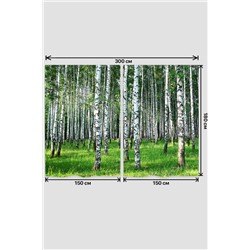 Натали Шторы 10847