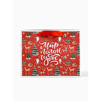 Пакет подарочный новогодний крафтовый, «Мир полон чудес», 23×18×10 см