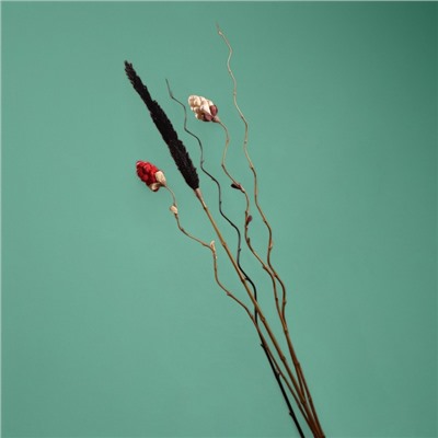 Сухоцвет «Пати», 180 см, чёрный