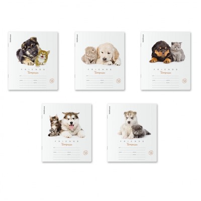 Тетрадь  12л клетка "Дружба" 42545 ErichKrause