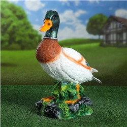 Садовая фигура из полистоуна «Селезень», 35×29×18 см