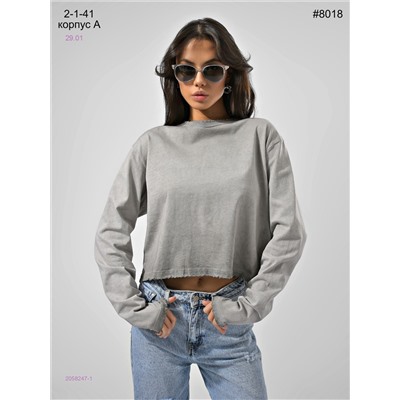 Лонгослив 2058247-1