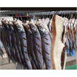 Крючок S-образный металлический, заостренный (1 шт.)