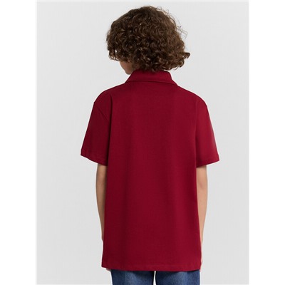 ПОЛО ДЛЯ МАЛЬЧИКОВ 113458