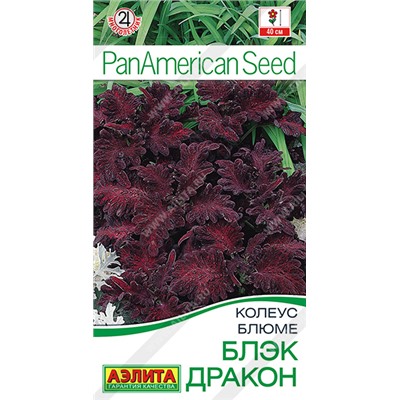 1502A Колеус блюме Блэк дракон 10шт