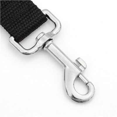 Поводок 5 м × 2.5 см, чёрный