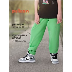 PELICAN Брюки BFPQ3321U