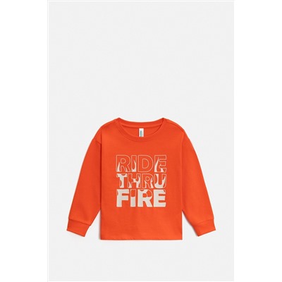 Джемпер ACOOLA, 1233378