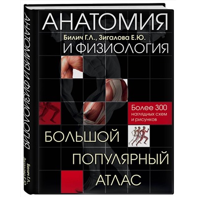 Эксмо Билич Г.Л., Зигалова Е.Ю. "Анатомия и физиология. Большой популярный атлас"