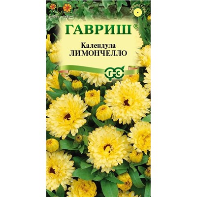 Календула Лимончелло (Гавр)