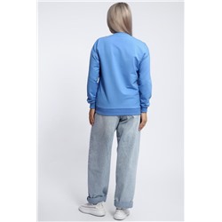 Толстовка 80048 (Голубой)