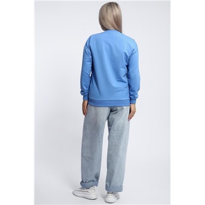 Толстовка 80047 (Голубой)