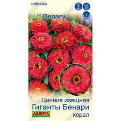Цинния Гиганты Бенари Корал (Код: 93614)