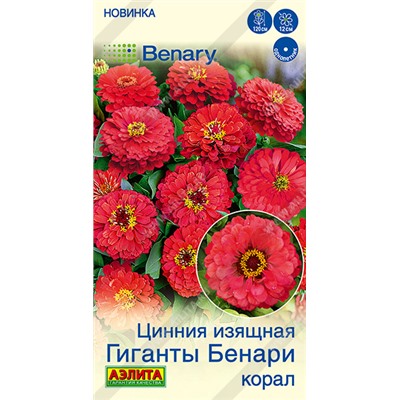 Цинния Гиганты Бенари Корал (Код: 93614)