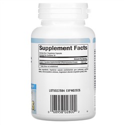 Natural Factors, Acetyl-L-Carnitine, 500 mg, 60 Vegetarian Capsules
