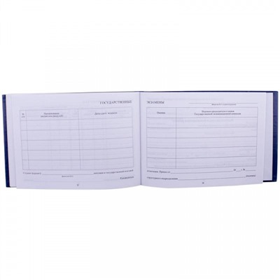 Бланк Зачетная книжка для высшего профессионального образования 168444