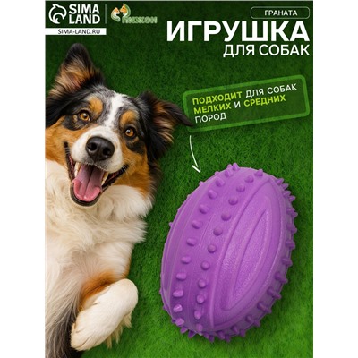 Жевательная игрушка для собак «Граната», 10 см, TPR, фиолетовая