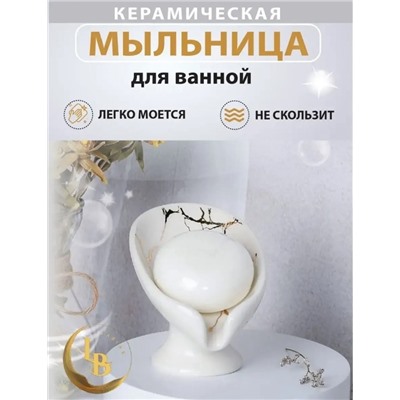 Мыльница #22951313
