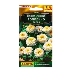 Семена цветов Цинния Тополино белая  Золотая серия, Ц/П,12 шт.