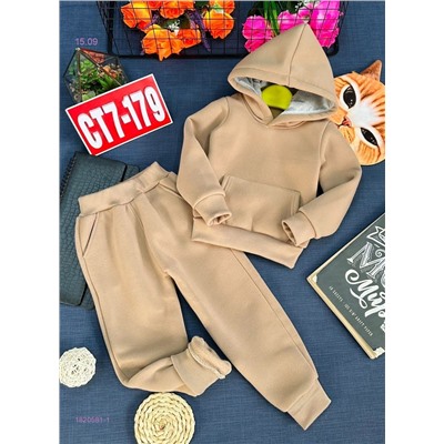 костюм с начесом 1820581-1