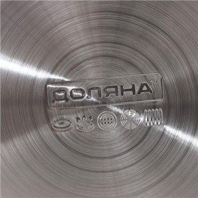 Чайник со свистком Доляна «Рио», 2.8 л, чёрный