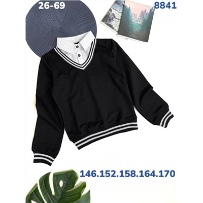 Джемпер 8841 чёрный