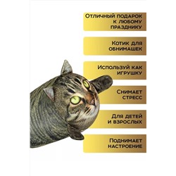 Игрушка-антистресс Кот Василий НАТАЛИ, 1082983