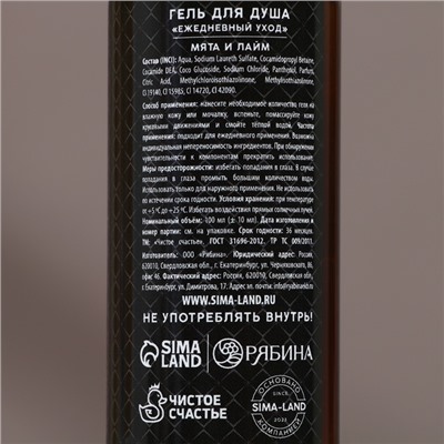 Подарочный набор новогодний «Год сулит успех»: гель для душа и шампунь для волос, 2×100 мл, Чистое счастье