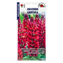 Семена Люпин «Аврора», 0.3 г, красновато-розовый, многолетний, «Золотая Сотка Алтая»