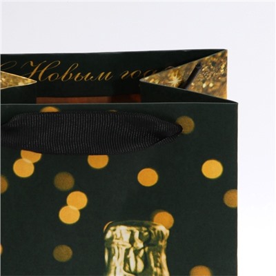 Пакет новогодний подарочный под бутылку «Праздничная ночь», 13×36×10 см
