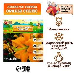 Лилия О.Т. Гибрид "Orange Space", р-р 12/14, 2 шт, Весна 2025