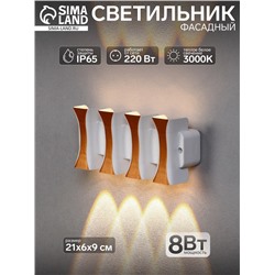 Светильник фасадный «Элегант», 8 Вт, 3000К, 4 луча, IP65, 220 В, пластиковый корпус, белый, свечение тёплое белое