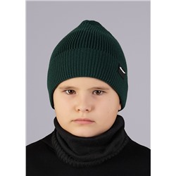 CLEVER Шапка