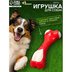 Игрушка для собак «Кость» Пижон Premium, 12 см, TPR+нейлон, микс цветов