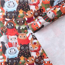 Бумага упаковочная крафтовая «Котики», 50×70 см