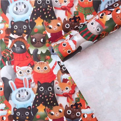 Бумага упаковочная крафтовая «Котики», 50×70 см