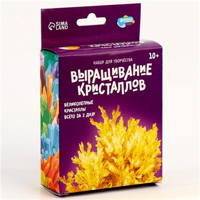 Выращивание кристаллов «Опыты. Лучистый кристалл», цвет жёлтый