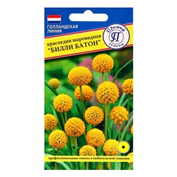 Семена цветов Краспедия шаровидная "Билли Батон", 10 шт